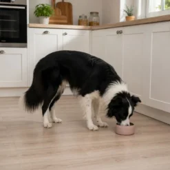 Leeby Comedero Antideslizante Acero Inoxidable para perros