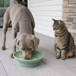 Leeby Comedero Antivoracidad Verde para perros y gatos