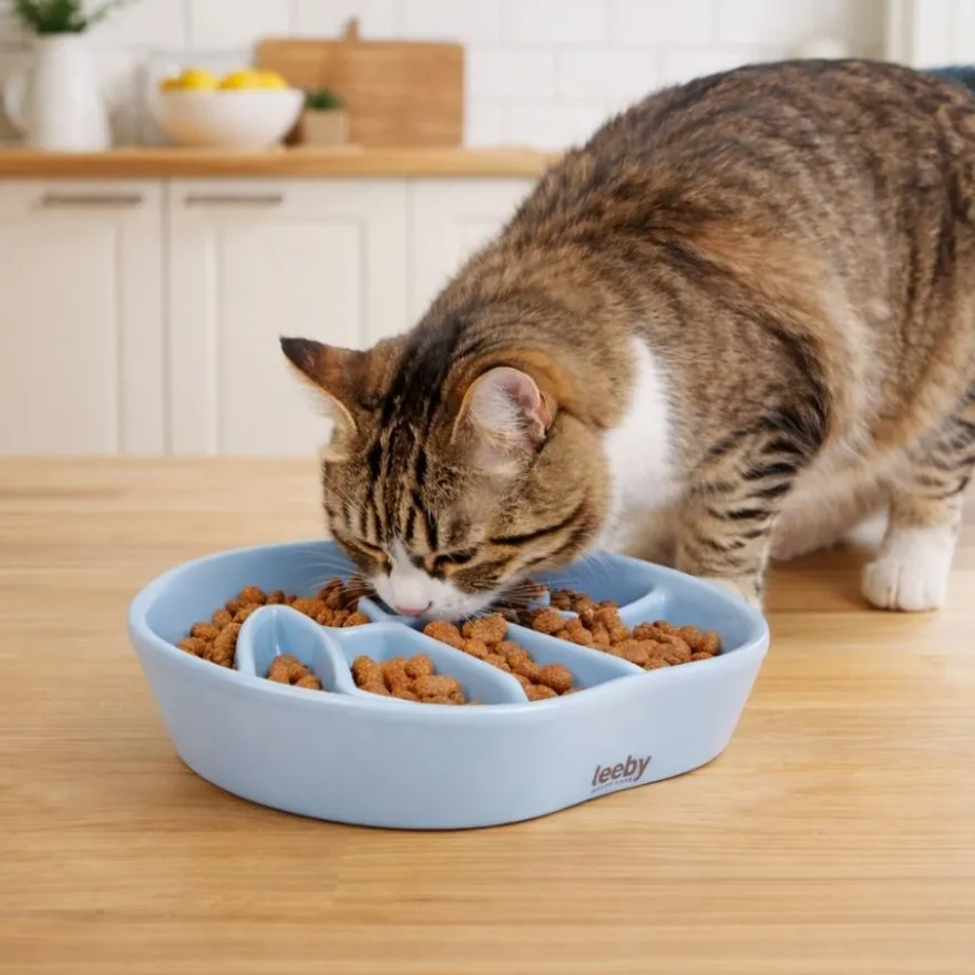 Leeby Comedero Antivoracidad de Cerámica para gatos