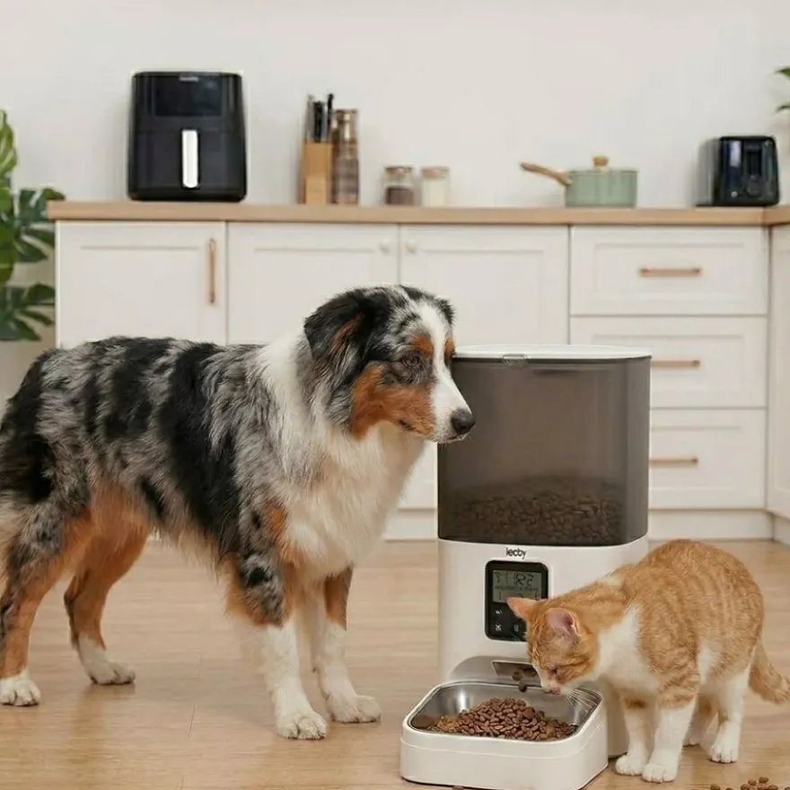 Leeby Comedero Automático Programable Blanco y Gris para perros y gatos