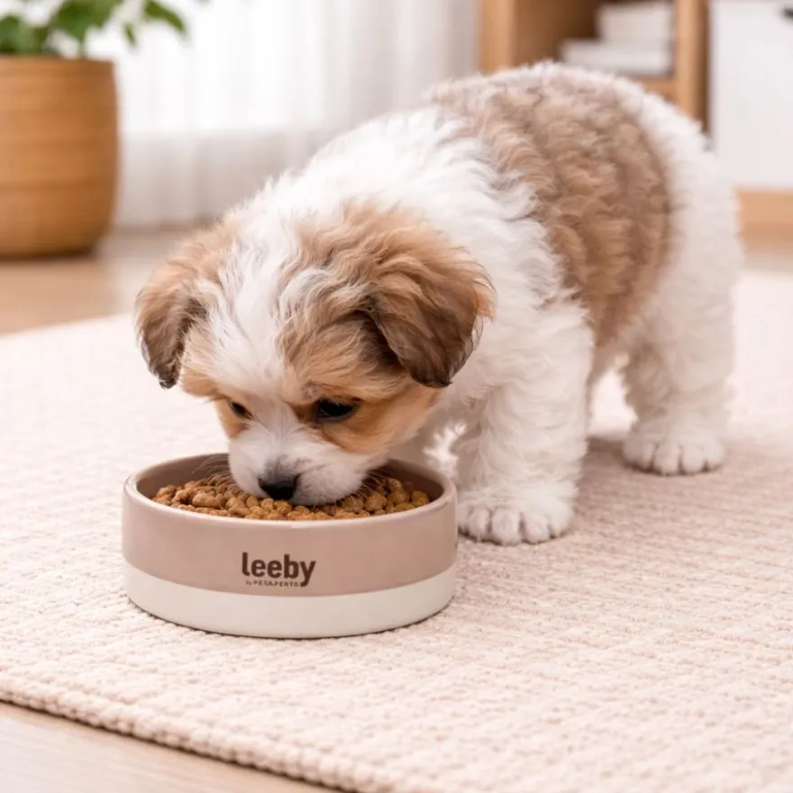 Leeby Comedero de Cerámica Marrón y Blanco para perros