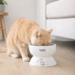 Leeby Comedero Elevado de Cerámica Blanco para gatos