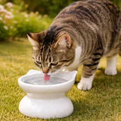 Leeby Comedero Elevado Inclinado de Cerámica Blanco para gatos