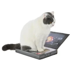 Leeby Lily rascador de cartón en forma de ordenador para gatos