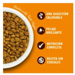 Lily's Kitchen Grain Free Pollo pienso para gatos
