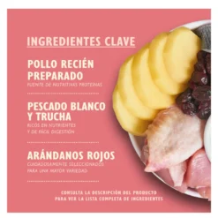 Lily's Kitchen Kitten Pollo pienso para gatos
