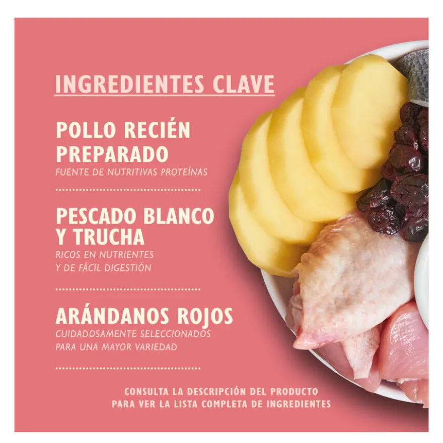Lily's Kitchen Kitten Pollo pienso para gatos