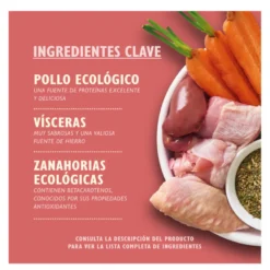 Lily's Kitchen Puppy Organic Pollo tarrina