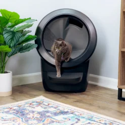 Litter-Robot Arenero Autolimpiable Negro para gatos