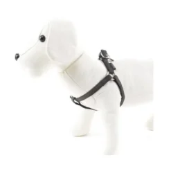 MacLeather Classic arnés negro para perros