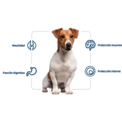 Nath Adult Mini Pollo pienso para perros