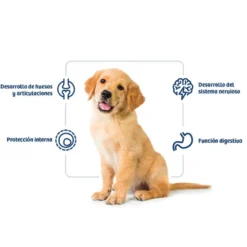 Nath Puppy Medium Maxi Pollo Pienso para Perros