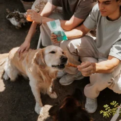 Natuka Filetitos de Melva Snack Natural para perros y gatos