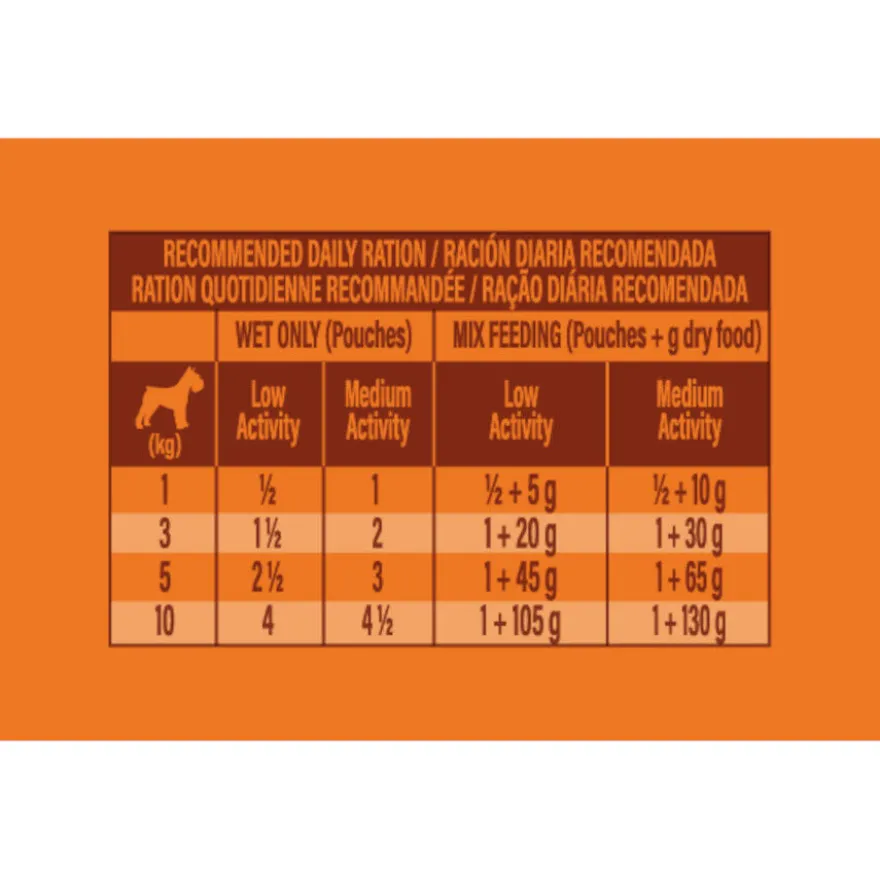 Nature's Variety Original Mini Adult pollo sobre para perros