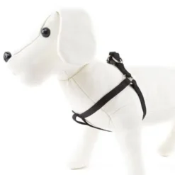 Nayeco Basic Arnés Negro para perros