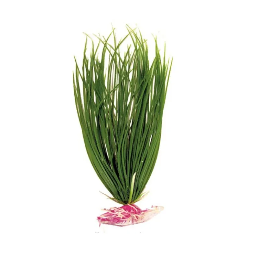 Nayeco Croci Planta Artificial Acorus para acuarios