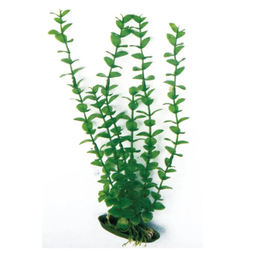 Nayeco Planta Artificial Rotala para acuarios
