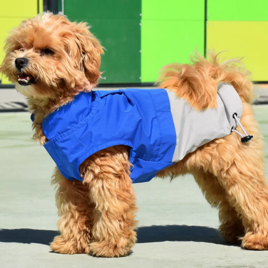 Nayeco X-TRM Chubasquero Azul y Gris para perros