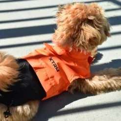 Nayeco X-TRM Chubasquero Naranja y Negro para perros
