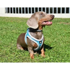 Nayeco X-TRM Neo Azul arnés para perros
