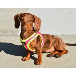 Nayeco X-TRM Neo Fucsia arnés para perros