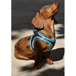 Nayeco X-TRM Neo Marrón arnés para perros
