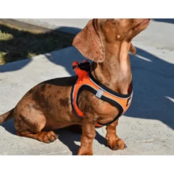 Nayeco X-TRM Neo Naranja arnés para perros