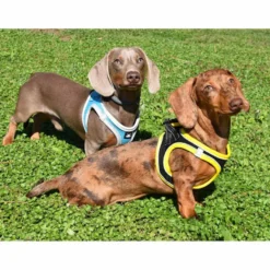 Nayeco X-TRM Neo Negro arnés para perros