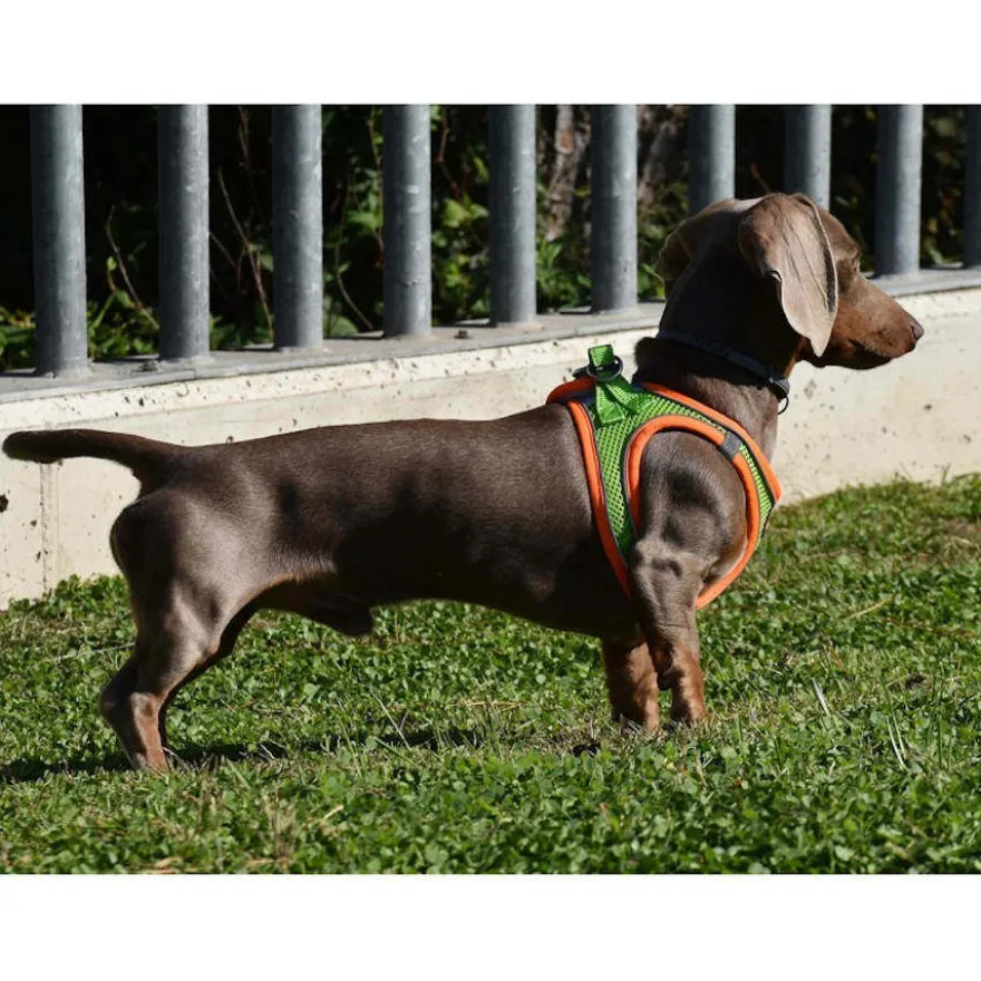 Nayeco X-TRM Neo Verde arnés para perros