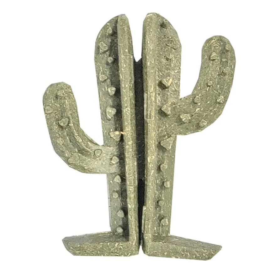 Nibbz Cactus Snack para roedores