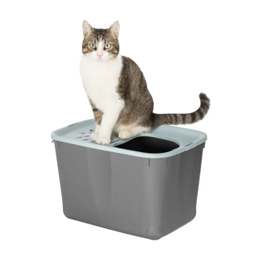 Nice Care Eco Arenero Micia Azul para gatos