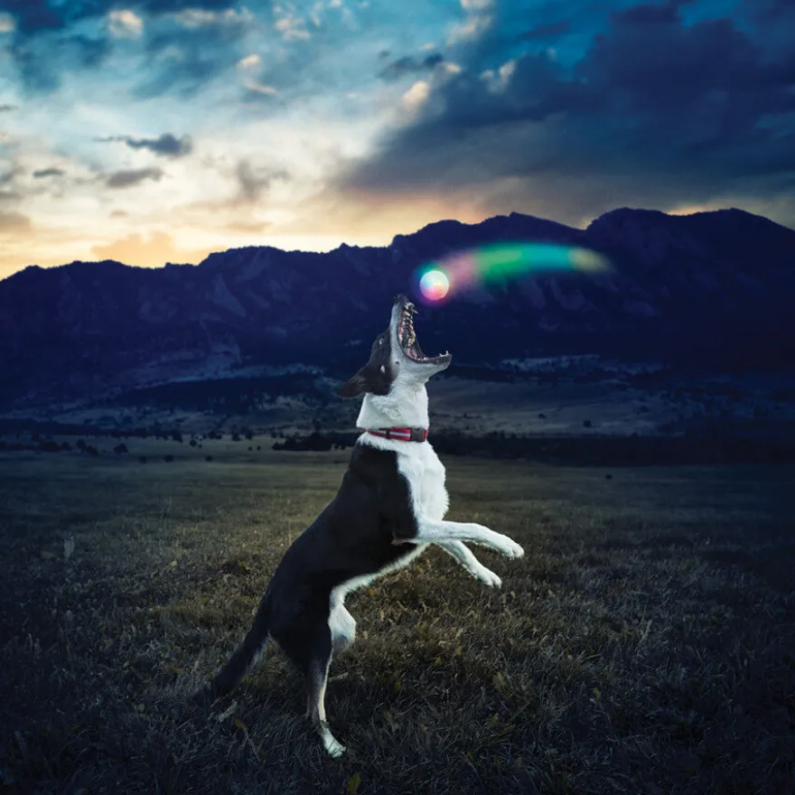 Nite Ize Glowstreak Disc-O LED Pelota para perros
