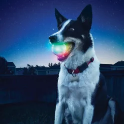 Nite Ize Glowstreak Disc-O LED Pelota para perros