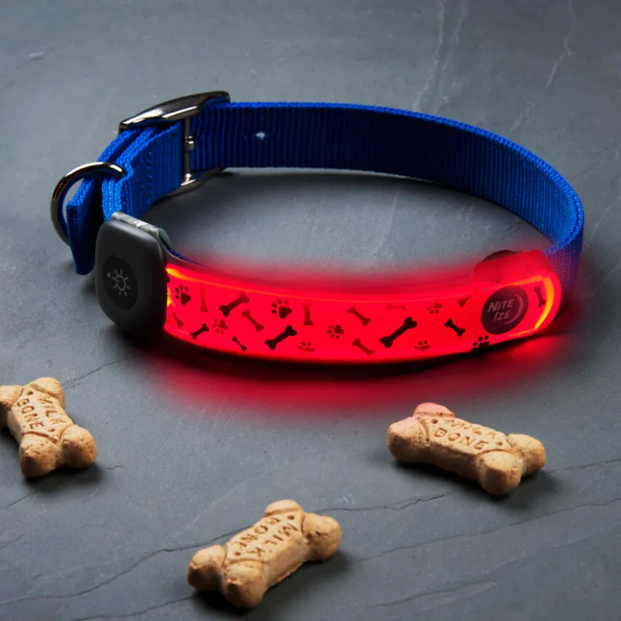 Nite Ize NiteDog Banda LED Recargable para perros