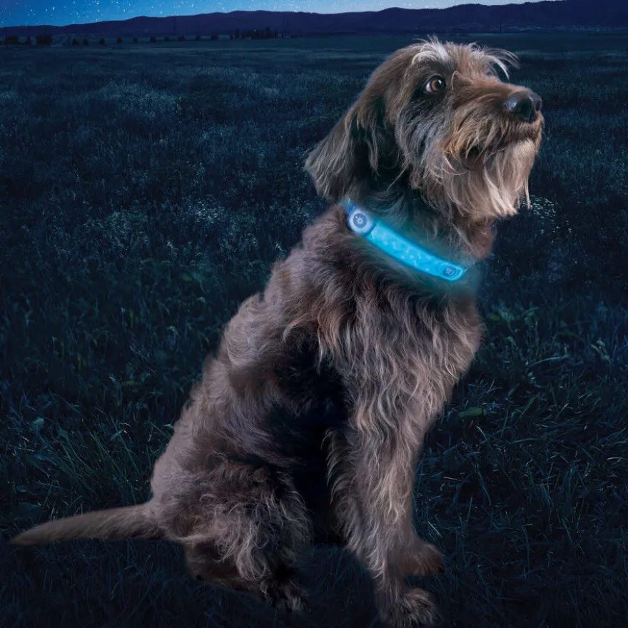 Nite Ize NiteDog Banda LED Recargable para perros