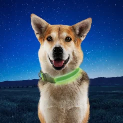 Nite Ize NiteDog Collar Led Recargable Verde para perros