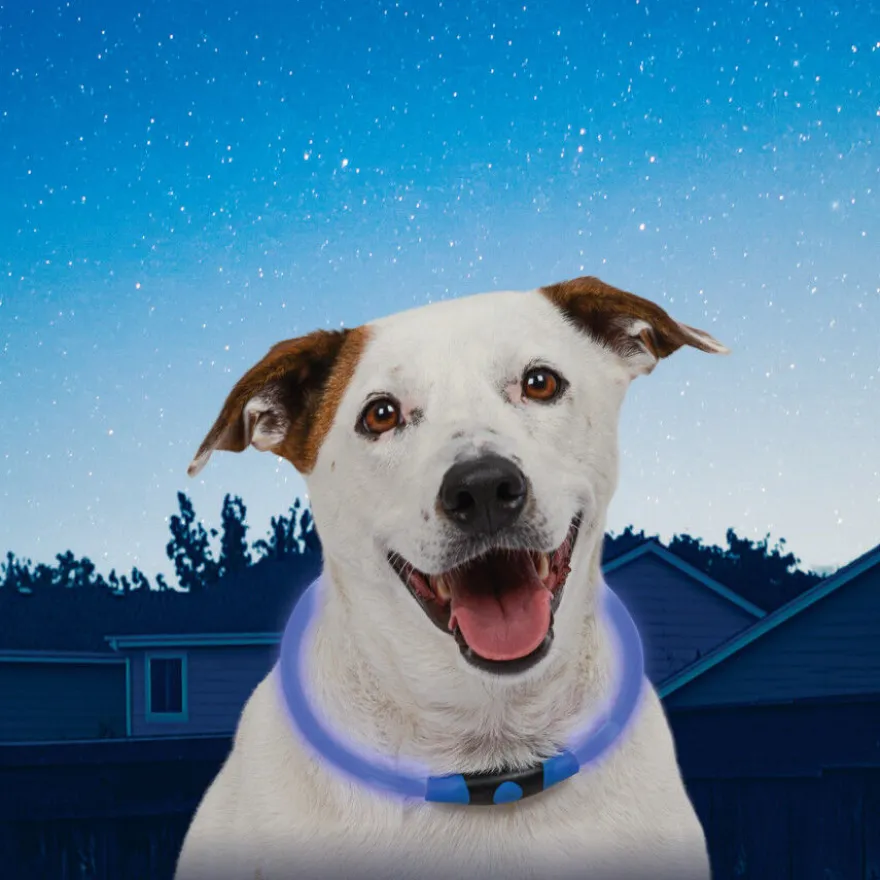 Nite Ize NiteHowl Collar con Luz LED Azul para perros
