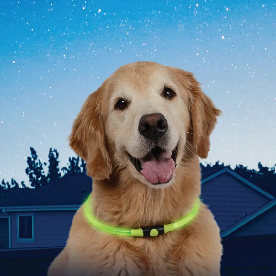 Nite Ize Nite Howl Collar Led Verde para perros