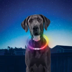 Nite Ize Nite Howl Disc-O-Select LED Collar para perros