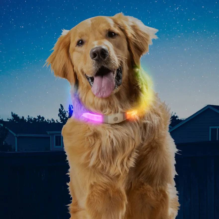 Nite Ize NiteHowl Max Collar de Seguridad LED para perros