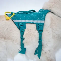 Non-stop Dogwear Arnés Largo Azul y Verde para perros