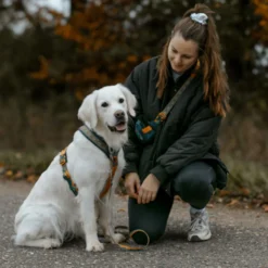 Non-stop Dogwear Arnés Turquesa y Roble para perros