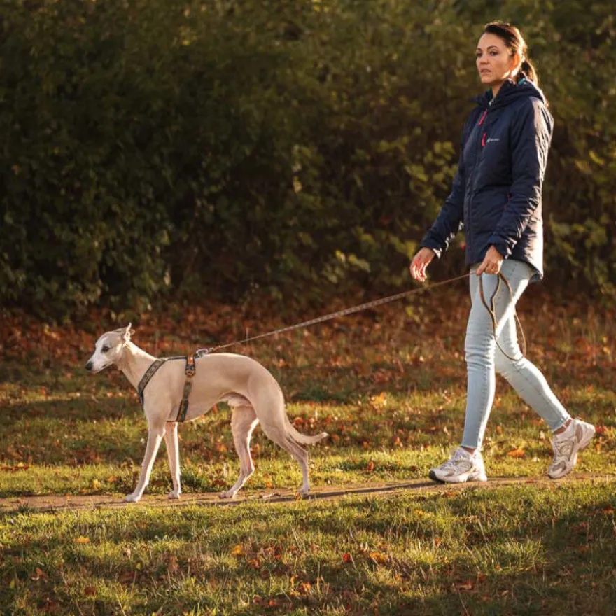 Non-stop Dogwear Arnés Turquesa y Roble para perros