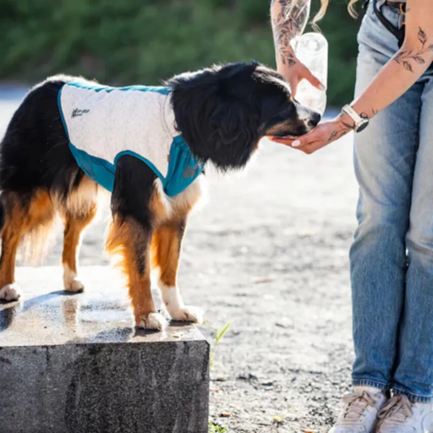 Non-stop Dogwear Chaleco Refrescante Pull-On Gris para perros