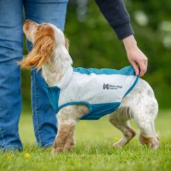 Non-stop Dogwear Chaleco Refrescante Pull-On Gris para perros