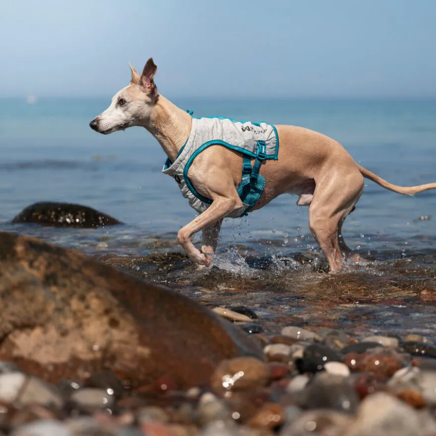 Non-stop Dogwear Chaleco Refrescante Gris y Turquesa para perros