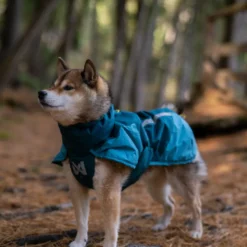 Non-stop Dogwear Chaqueta Azul y Verde para perros