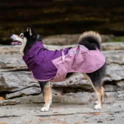 Non-stop Dogwear Chubasquero Impermeable Malva para perros