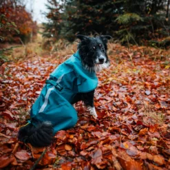 Non-stop Dogwear Chubasquero Impermeable Azul y Verde para perros