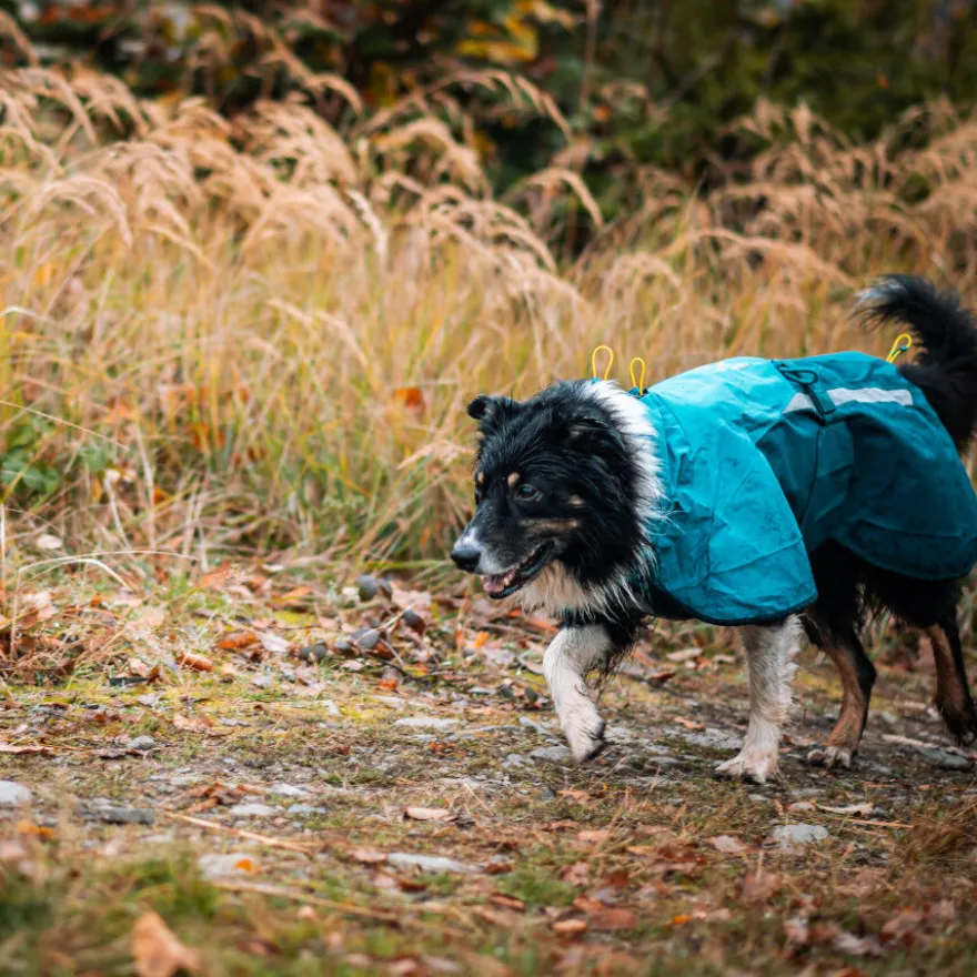 Non-stop Dogwear Chubasquero Impermeable Azul y Verde para perros